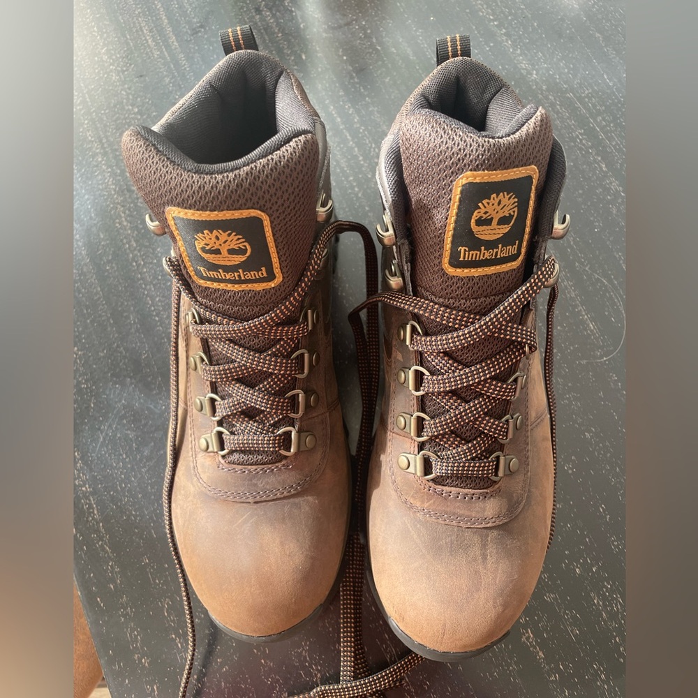 Men's Mt. Maddsen Waterproof Mid Hiking Boot